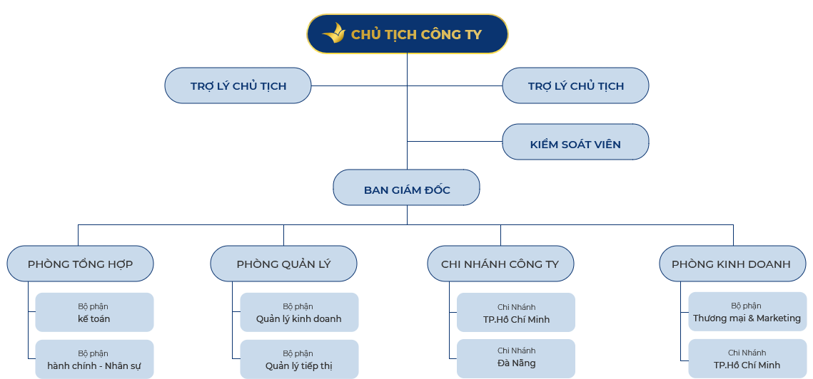 SƠ ĐỒ TỔ CHỨC