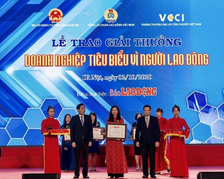 Giải thưởng Chủ đầu tư CEO đạt được-4