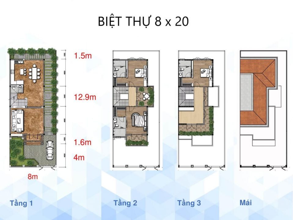 Biệ thự 8x20m