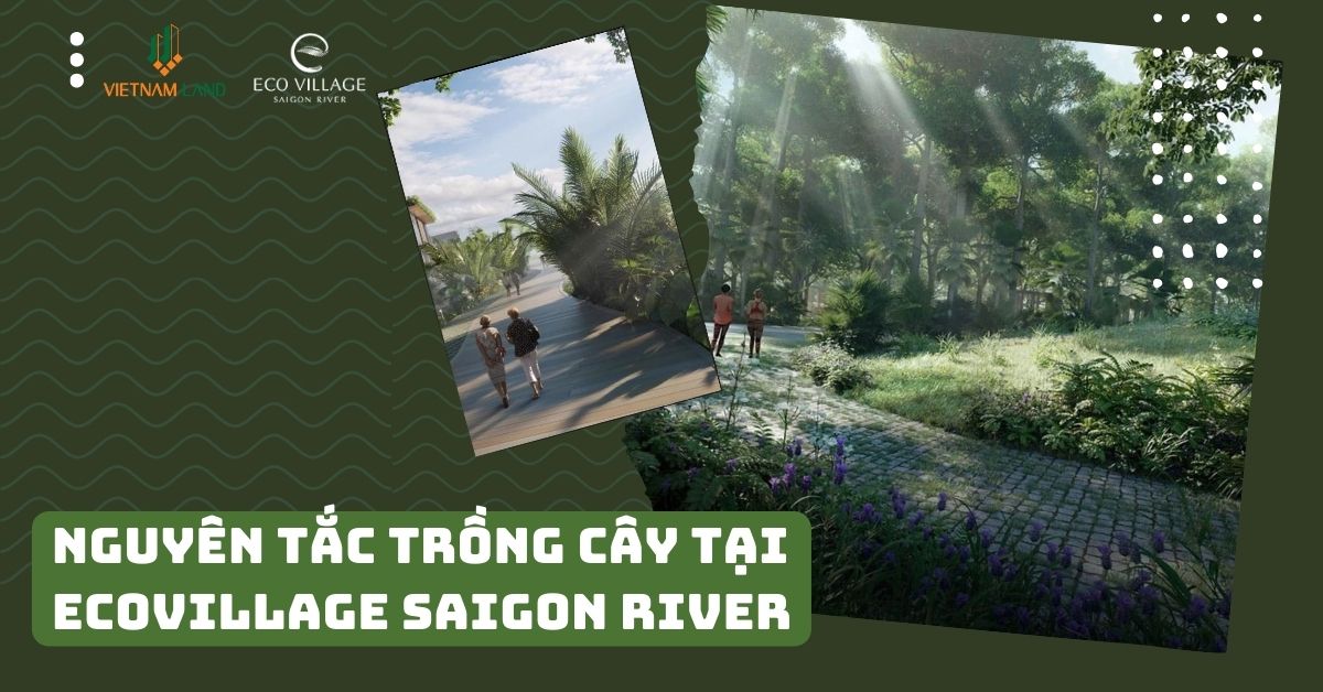 Nguyên tắc trồng cây tại Ecovillage Saigon River