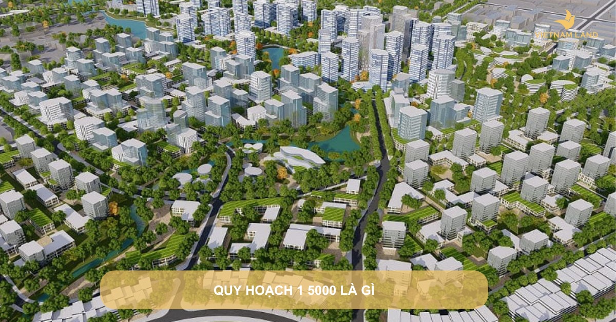 quy hoạch 1 5000 là gì