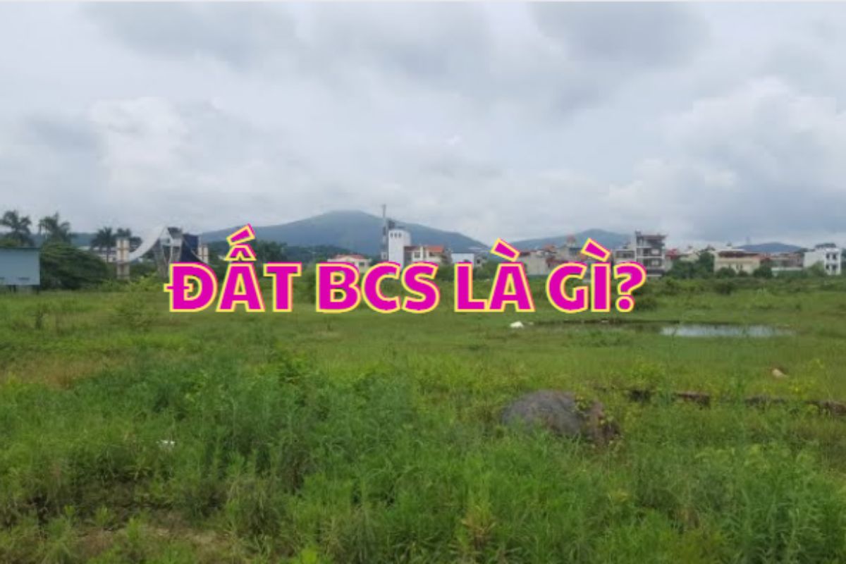 đất bcs là gì 1