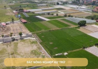 đất nông nghiệp dự trữ