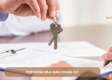 hợp đồng mua bán chung cư