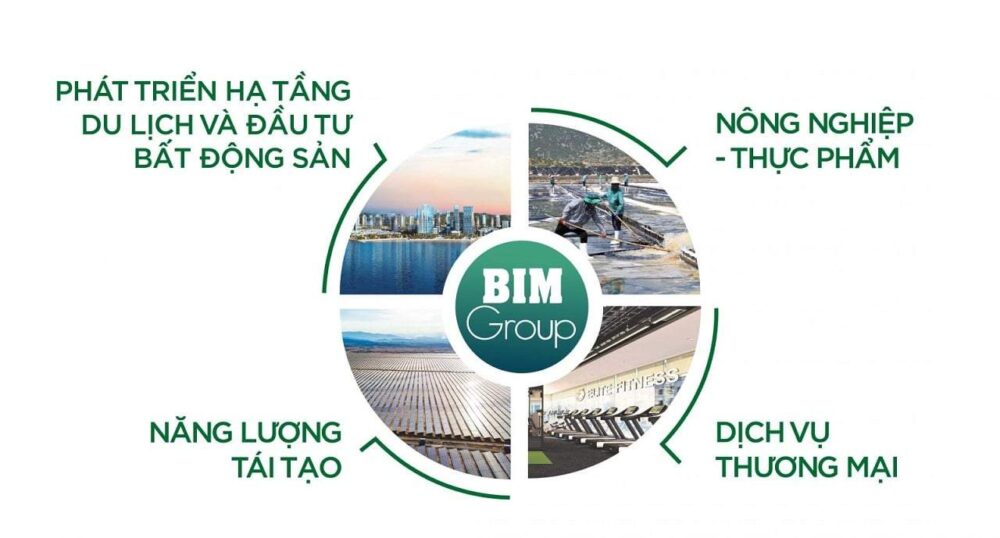 Lĩnh vực hoạt động BIM group