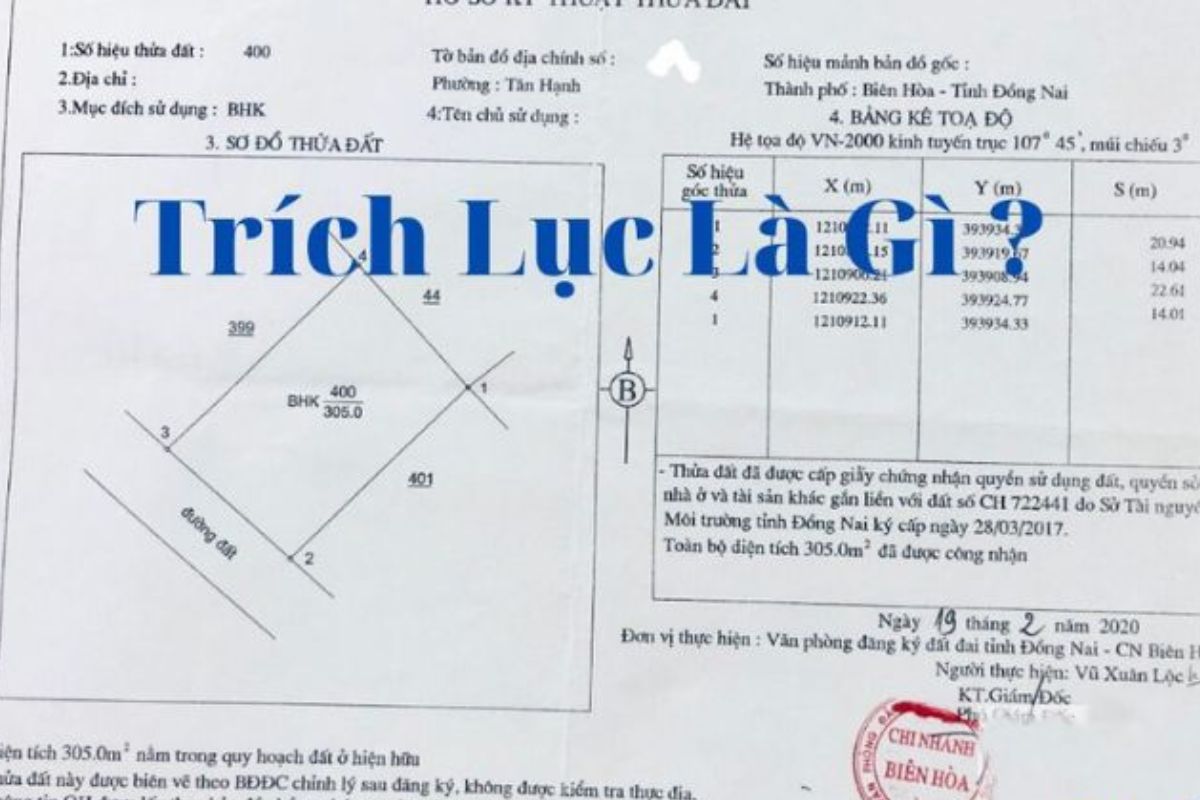 trích lục thửa đất 1