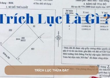 trích lục thửa đất