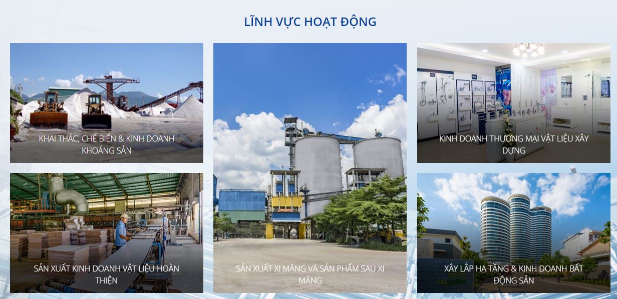 Lĩnh vực hoạt động chủ đầu tư FICO