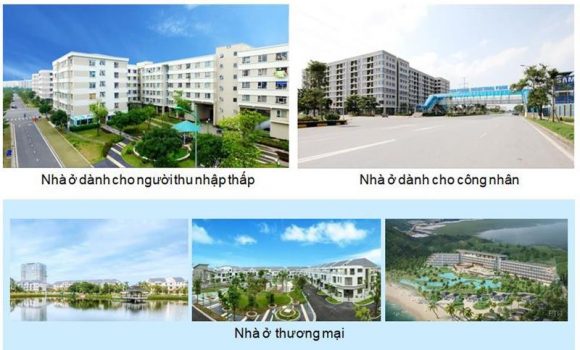 Hình ảnh Chủ đầu tư Viglacera